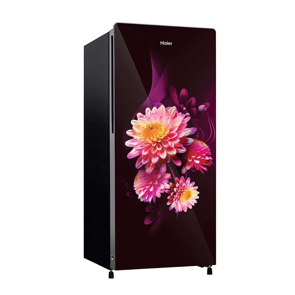 Haier 190L 3 Star BD Daisy Glass Single Door Refrigerator