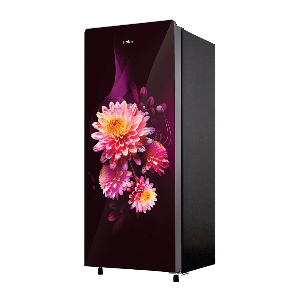 Haier 190L 3 Star BD Daisy Glass Single Door Refrigerator